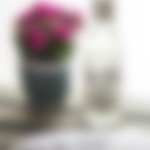kaboompics.com_Polish