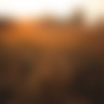 kaboompics.com_Sunset