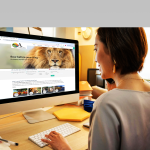 portfolio-opulent-land